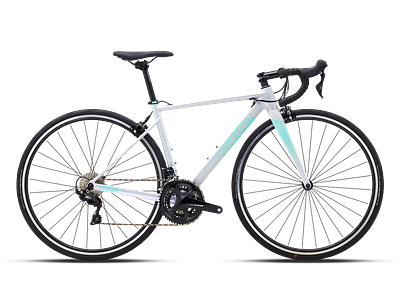 Polygon S5 (M)