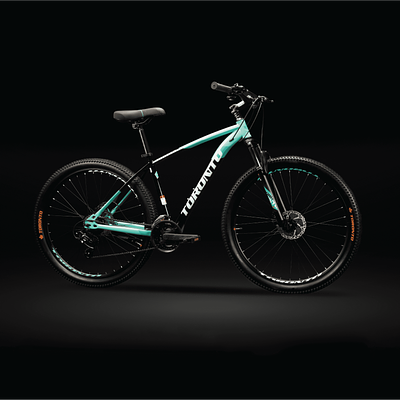 TORONTO MOUNTRACK 27.5" 21 Speed (BLUE)