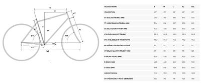 Merida BIG NINE 700 III1 (LIGHT BLUE(SILVER), M)