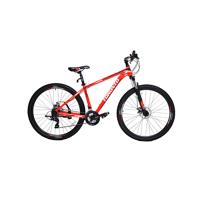 TORONTO MAPLE 29" 21 Speed (GRAY)