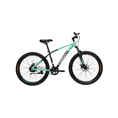 TORONTO FRASER 24" Single Speed (TEAL)