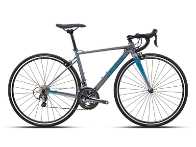 Polygon S4 (M)
