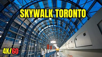 TORONTO SKYWALK 26" 21 Speed (WHITE-RED)