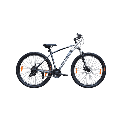 TORONTO MAPLE 29" 21 Speed (GRAY)