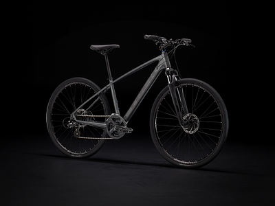 TREK DUAL SPORT 1 (S-CH/GS) (SUS)