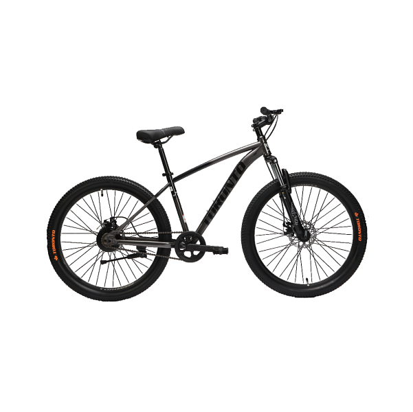 TORONTO THELON 24" Single Speed (GUNMETAL)