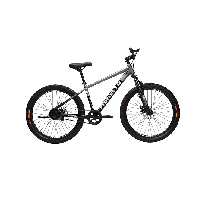 TORONTO NIAGARA 29" Single Speed (GUNMETAL)