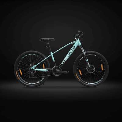 TORONTO VANCOUVER 29" 21 Speed (TEAL)