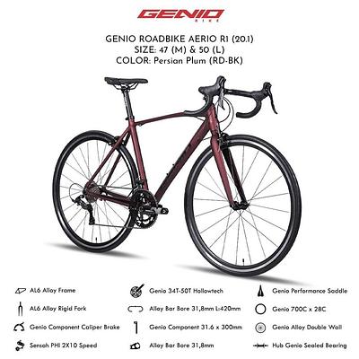 Genio Aerio R1 (M)
