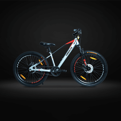 TORONTO SKYWALK 24" Single Speed (RED)