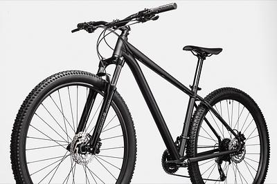 Cannondale Trail 8 (XL)