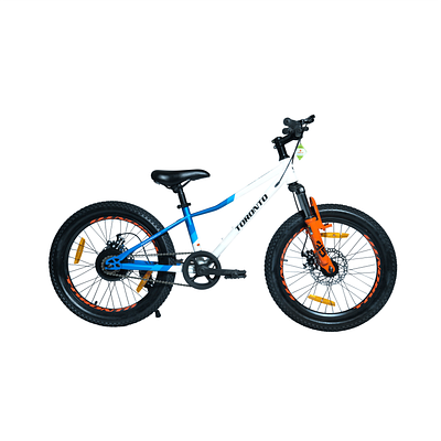 TORONTO CALIX 20" Single Speed (GREEN)