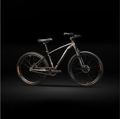 TORONTO THELON 24" Single Speed (GUNMETAL)