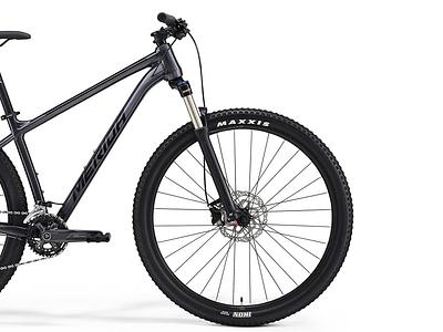Merida BIG NINE 300 IV1 (METALLIC BLACK(GREY), L)
