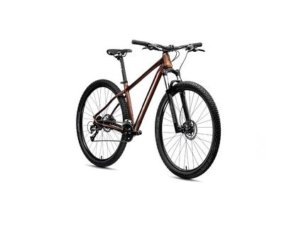 Merida BIG NINE 60 3X (MATT BRONZE(BLACK), S(14.5))