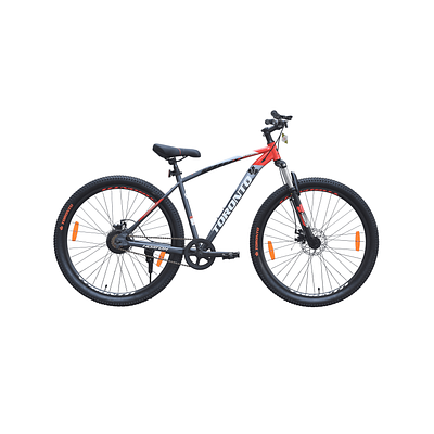 TORONTO HORTON 29" Single Speed (GREEN)