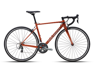 Polygon S4 (M)