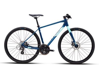 Polygon Path 2 (XL)