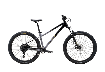 Marin Sanquintin 1 27.5 (M)