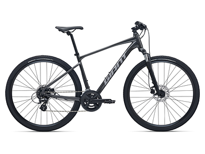 GIANT Roam 4 Stealth Chrome M