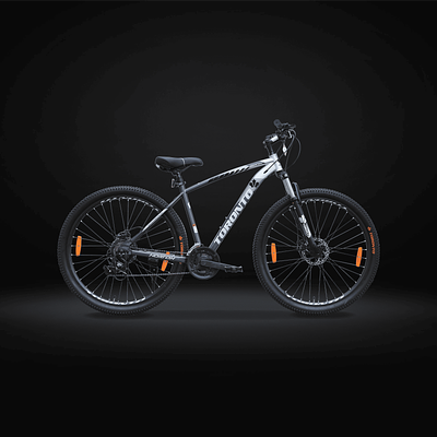TORONTO MOUNTRACK 29" 21 Speed (BLUE)