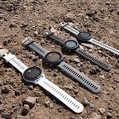 Garmin Forerunner 255 Basic Slate Grey