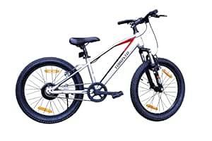 TORONTO SKYWALK 20" Single Speed (TEAL)