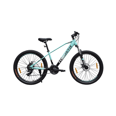 TORONTO VANCOUVER 29" 21 Speed (TEAL)