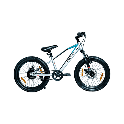 TORONTO SKYWALK 20" Single Speed (TEAL)